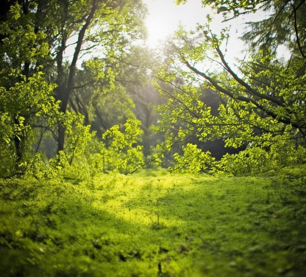 成都野餐美食推荐,新鲜食材、地道选择与高性价比